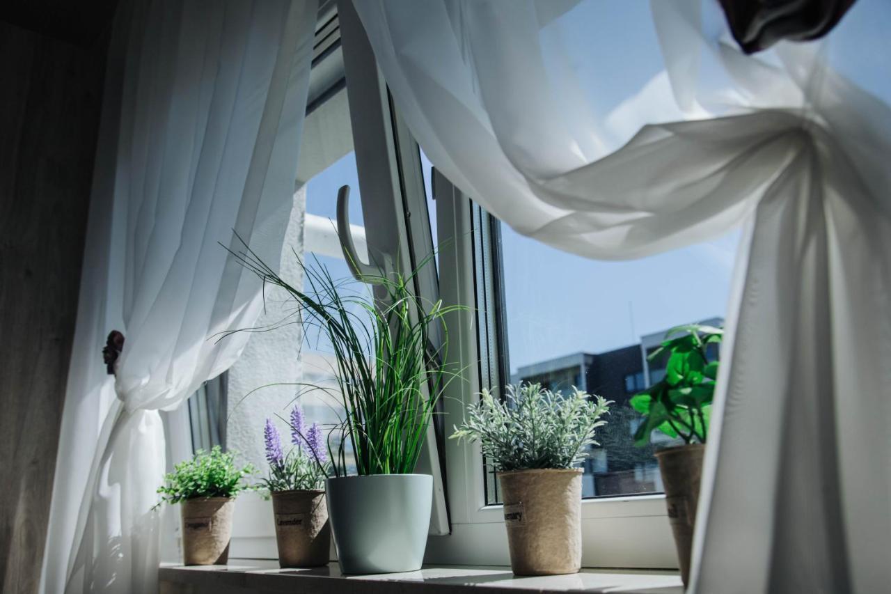 Diandra Residence Kolozsvár Kültér fotó
